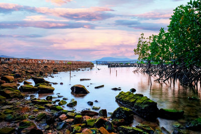 Scenic view of lake against sky during sunset