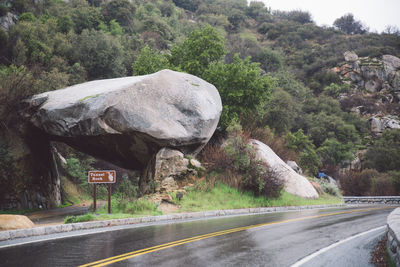 Road by trees against sky