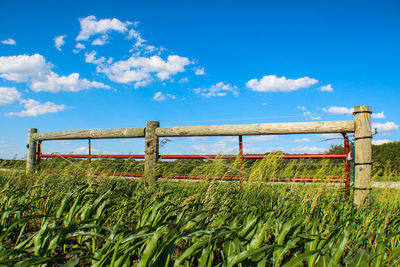 Scenic view of grassy field against cloudy sky