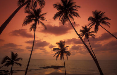 Silhouette palm trees against sky during sunset