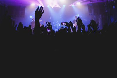 Crowd at music concert