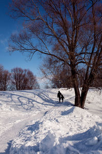 Two people and big tree sno