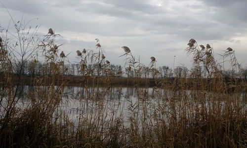 Scenic view of lake against sky