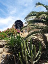 Palm trees and plants against sky