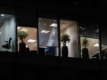 Potted plants in illuminated building