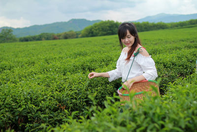 Smiling woman with basket picking leaves in tea plantation field