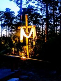 Information sign on illuminated road amidst trees at night