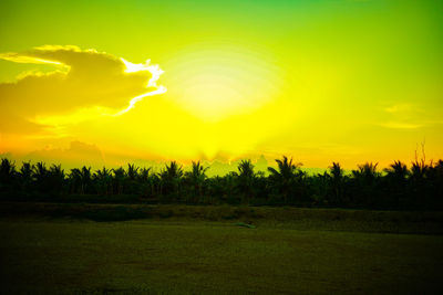 Scenic view of field against sky during sunset