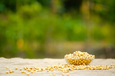 Close-up of food on plant outdoors