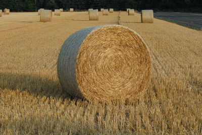 Hay bales on field