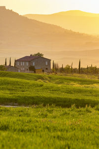 Scenic view of field against sky during sunset