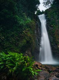 View of waterfall in forest