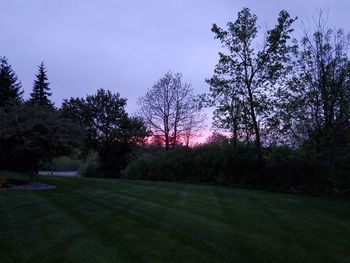 Trees on field against sky