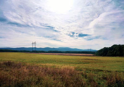 Scenic view of field against sky