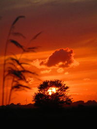 Silhouette trees on field against dramatic sky during sunset