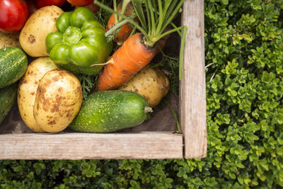 High angle view of vegetables