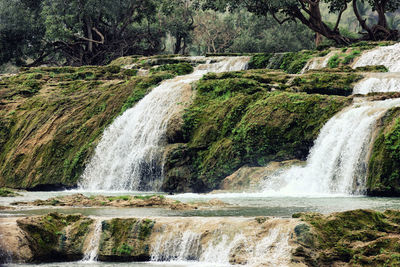 Scenic view of waterfall in forest