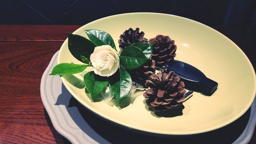 Close-up of pinecones and flower in plate