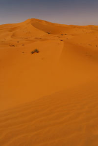 Scenic view of desert against sky