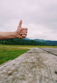 Cropped hand of person gesturing over wood against sky