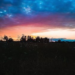 Silhouette trees on field against romantic sky at sunset