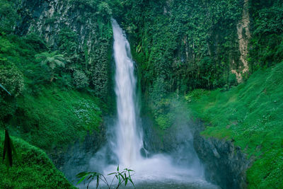 Scenic view of waterfall in forest