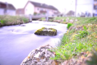 Surface level of rocks