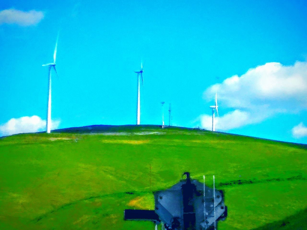 WIND TURBINES IN FIELD