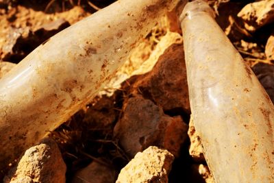 High angle view of pipe on field