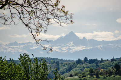 Scenic view of tree mountains against sky
