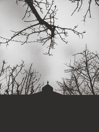 Low angle view of bare trees against sky