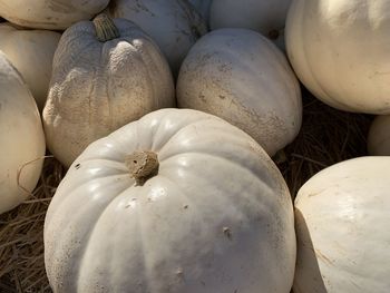 Full frame shot of pumpkins for sale in market