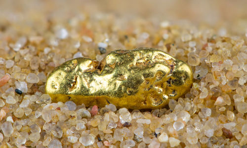 Close-up of shell on rock