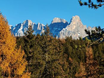 Scenic view of snowcapped mountains against clear blue sky