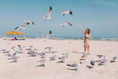 Cute boy feeding seagulls at beach