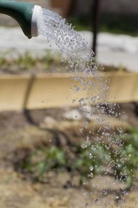 Close-up of water drops on plant