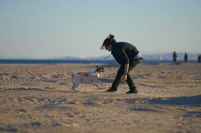 Full length of a dog on beach