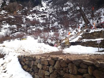 Scenic view of tree mountain during winter