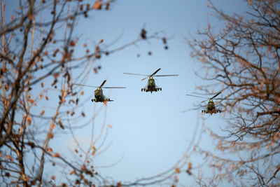 Low angle view of insect flying against sky