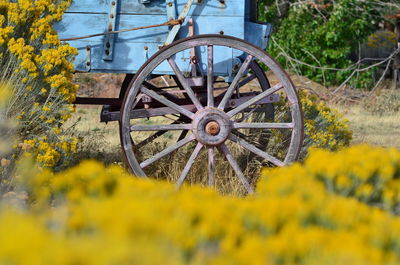 Ferris wheel on field