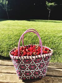 Red berries in basket on field