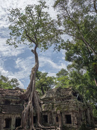 Low angle view of old building against sky