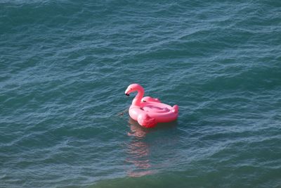 High angle view of stuffed toy floating on sea