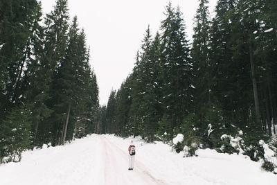 Man on snow covered landscape against sky