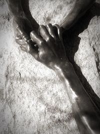 Low section of woman feet