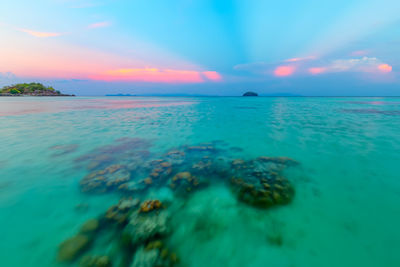 Scenic view of sea during sunset