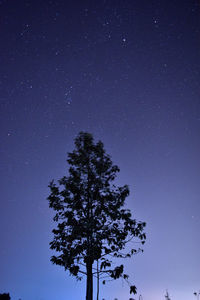 Low angle view of star field against star field