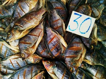 Close-up of fish for sale at market