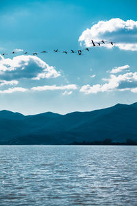 Birds flying over sea and mountains
