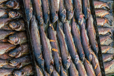 Full frame shot of fish for sale at market